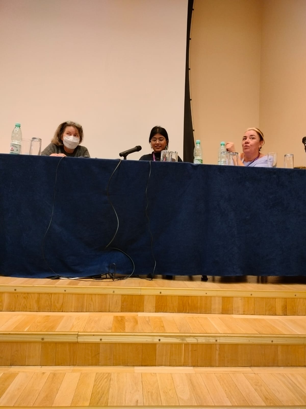 Conference presentation: Platformization of Patriarchy: Women in the Platform Economy in India